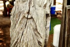 Chainsaw Carvings