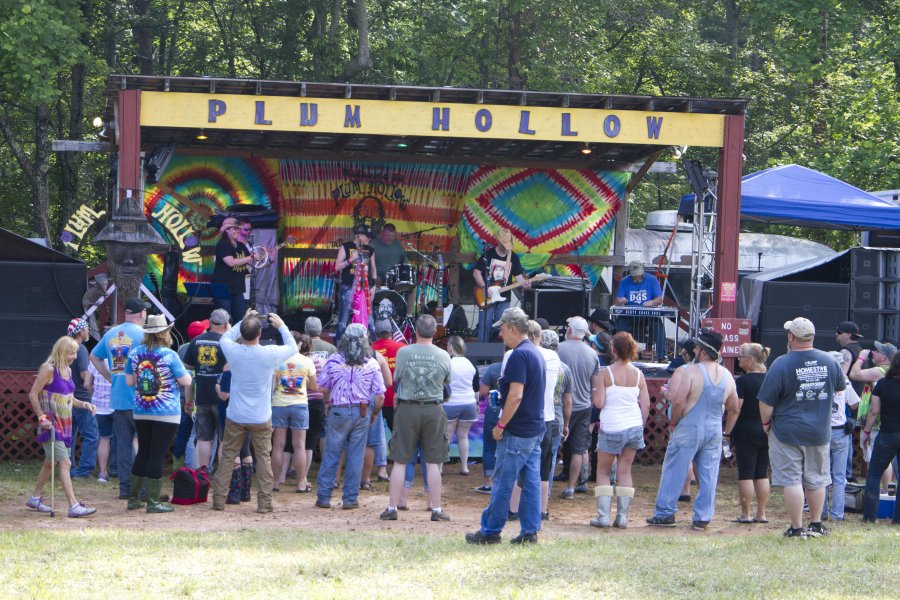 The Annual Plum Hollow Festival