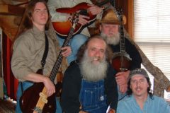 The Plum Hollow Band